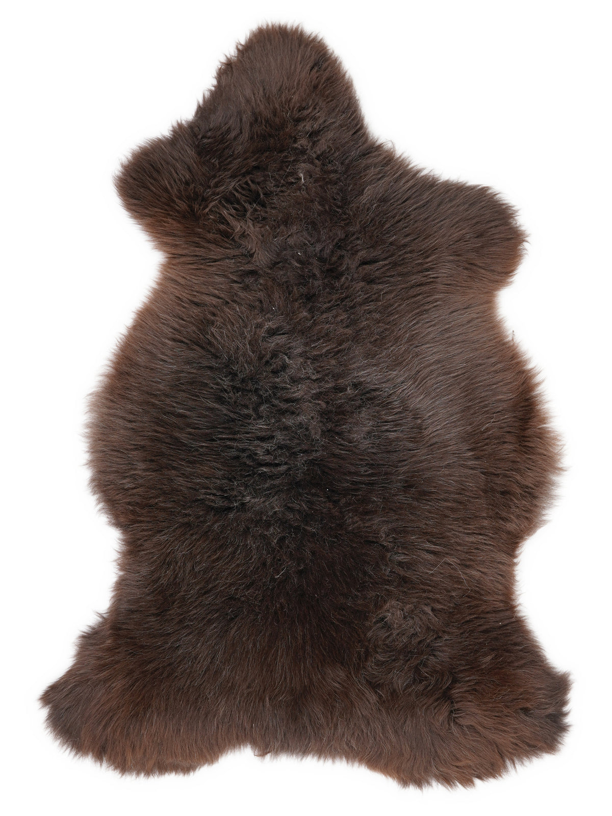 British multicolour sheepskin rug of about 110 × 60 cm, seen from above: the exact sheepskin you receive