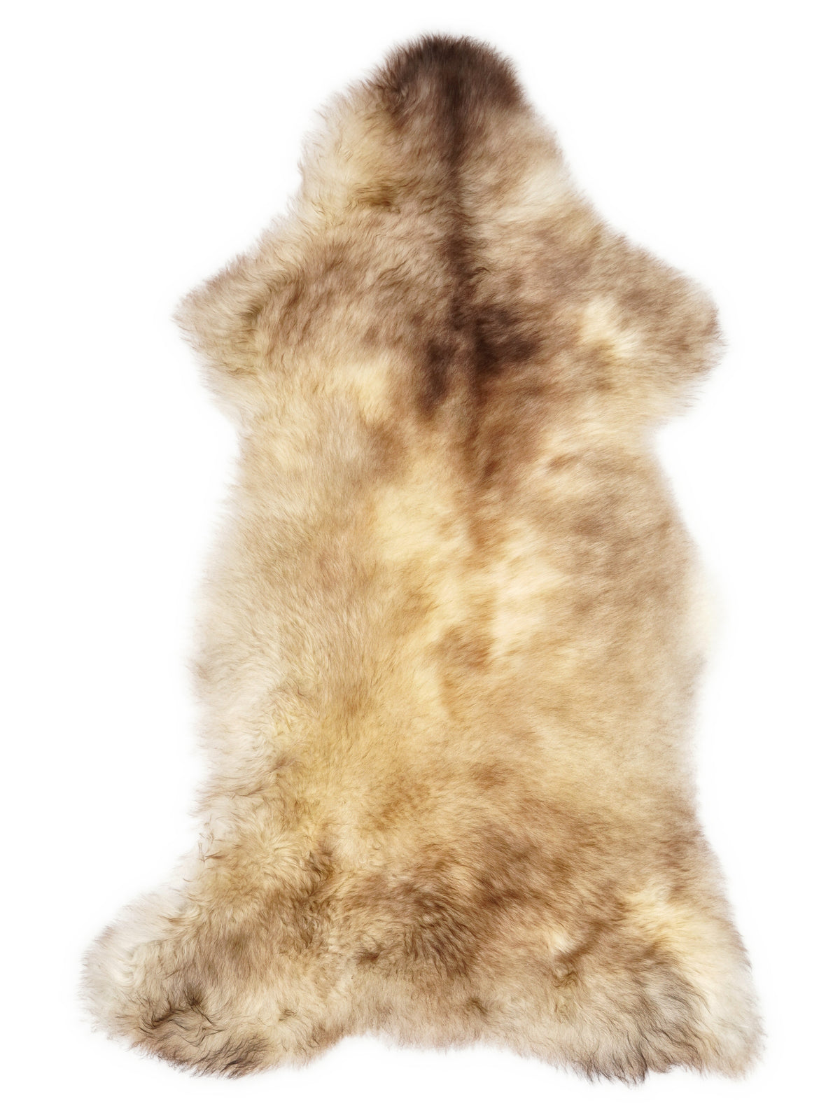 British multicolour sheepskin rug of about 110 × 55 cm, seen from above: the exact sheepskin you receive
