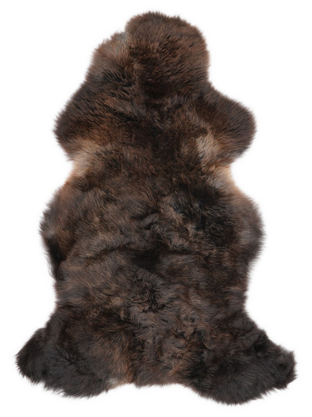 British multicolour sheepskin rug of about 110 × 60 cm, seen from above: the exact sheepskin you receive