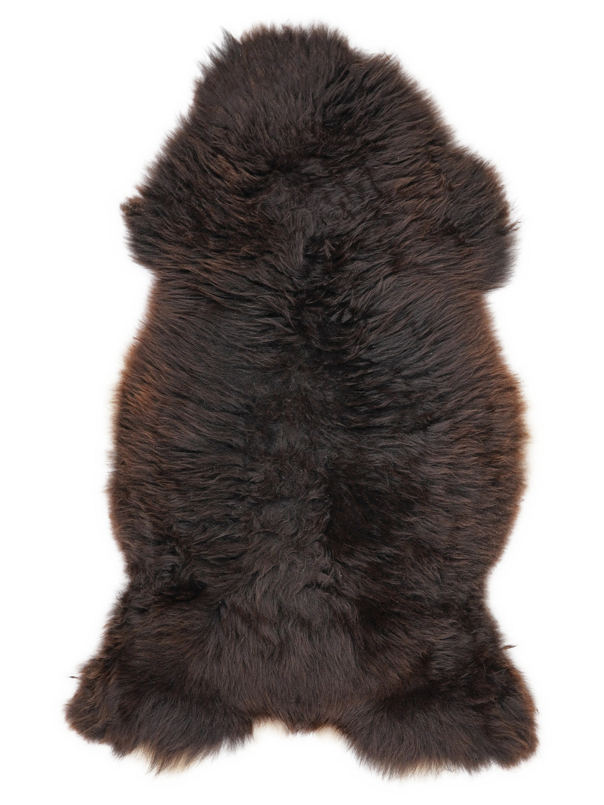 British multicolour sheepskin rug of about 110 × 60 cm, seen from above: the exact sheepskin you receive