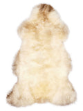 British multicolour sheepskin rug of about 115 × 65 cm, seen from above: the exact sheepskin you receive