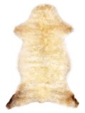 British multicolour sheepskin rug of about 110 × 55 cm, seen from above: the exact sheepskin you receive