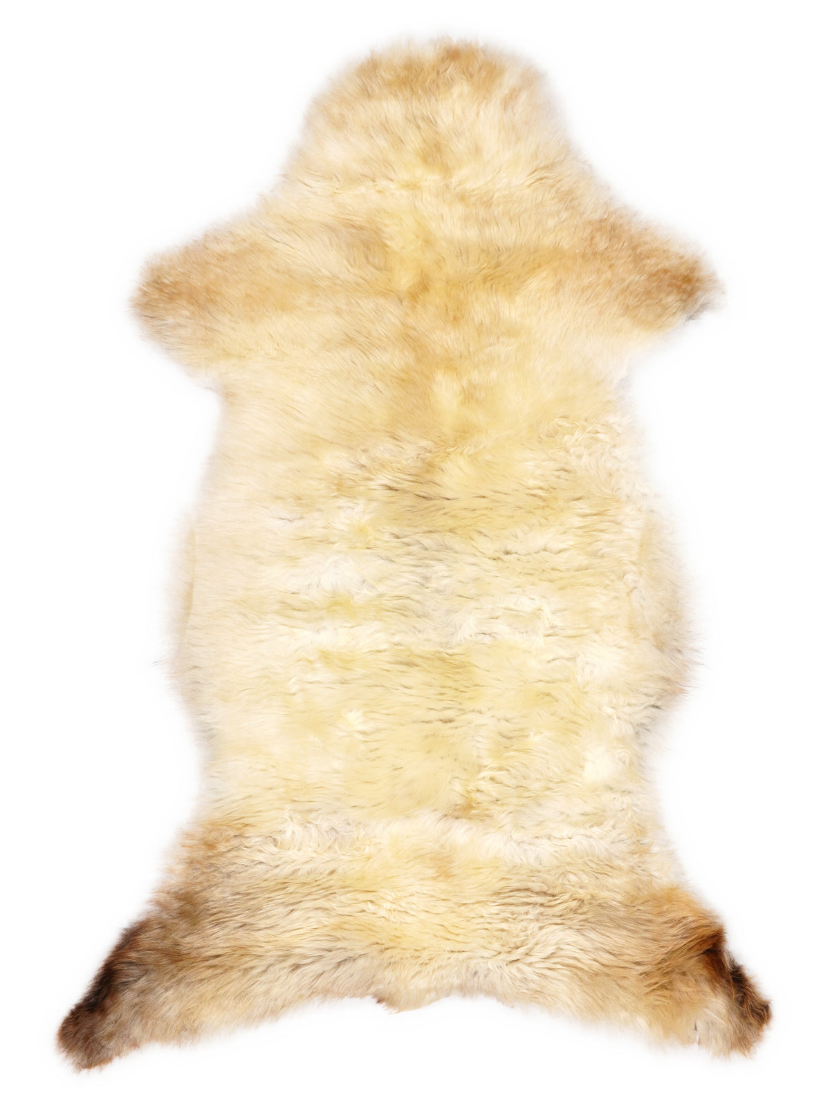 British multicolour sheepskin rug of about 110 × 55 cm, seen from above: the exact sheepskin you receive