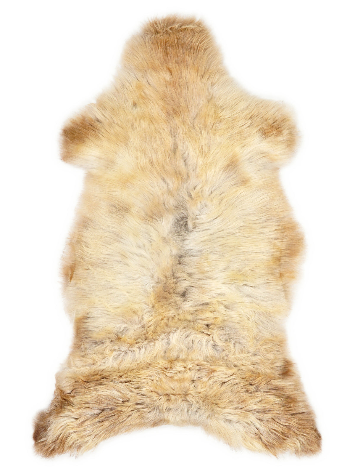British multicolour sheepskin rug of about 110 × 60 cm, seen from above: the exact sheepskin you receive