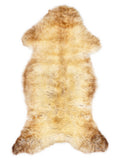 British multicolour sheepskin rug of about 110 × 55 cm, seen from above: the exact sheepskin you receive