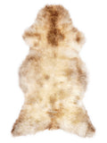 British multicolour sheepskin rug of about 120 × 60 cm, seen from above: the exact sheepskin you receive