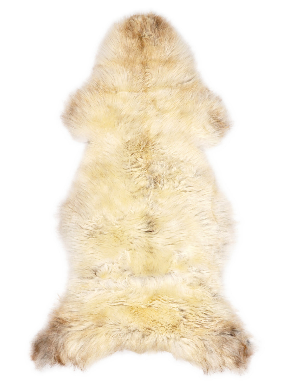 British multicolour sheepskin rug of about 130 × 60 cm, seen from above: the exact sheepskin you receive