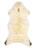 British multicolour sheepskin rug of about 120 × 55 cm, seen from above: the exact sheepskin you receive