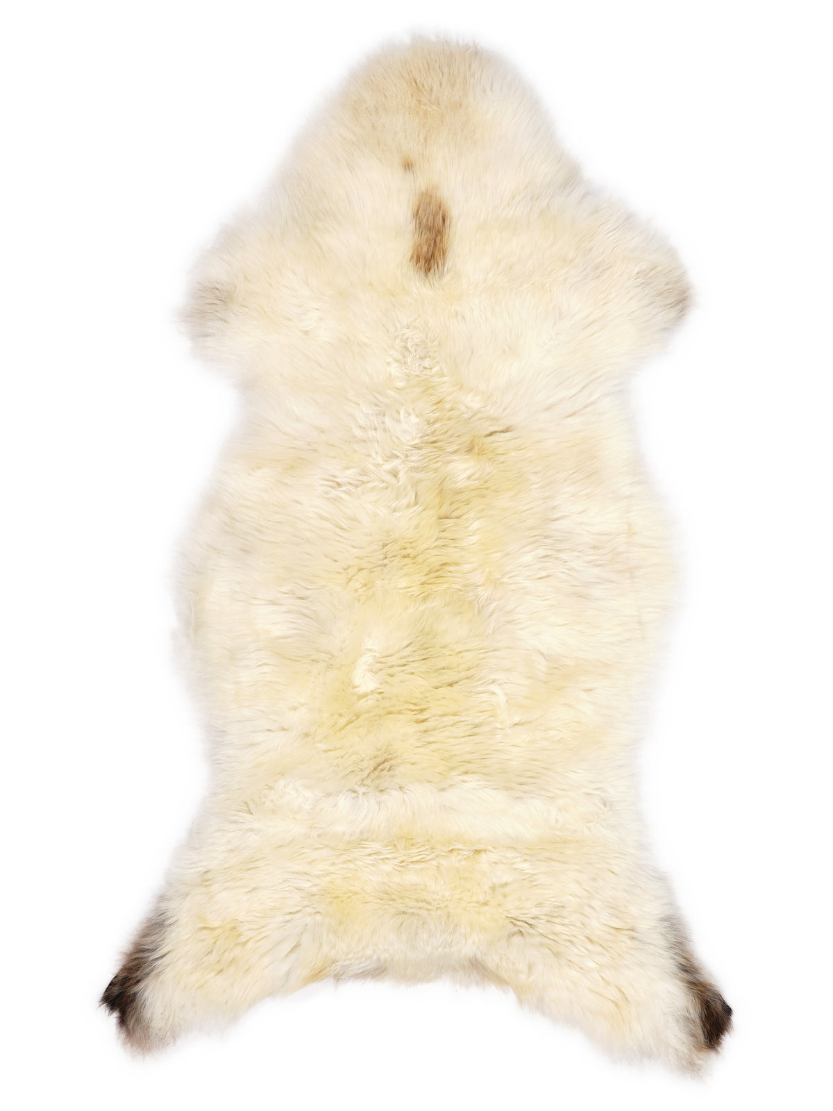 British multicolour sheepskin rug of about 120 × 55 cm, seen from above: the exact sheepskin you receive