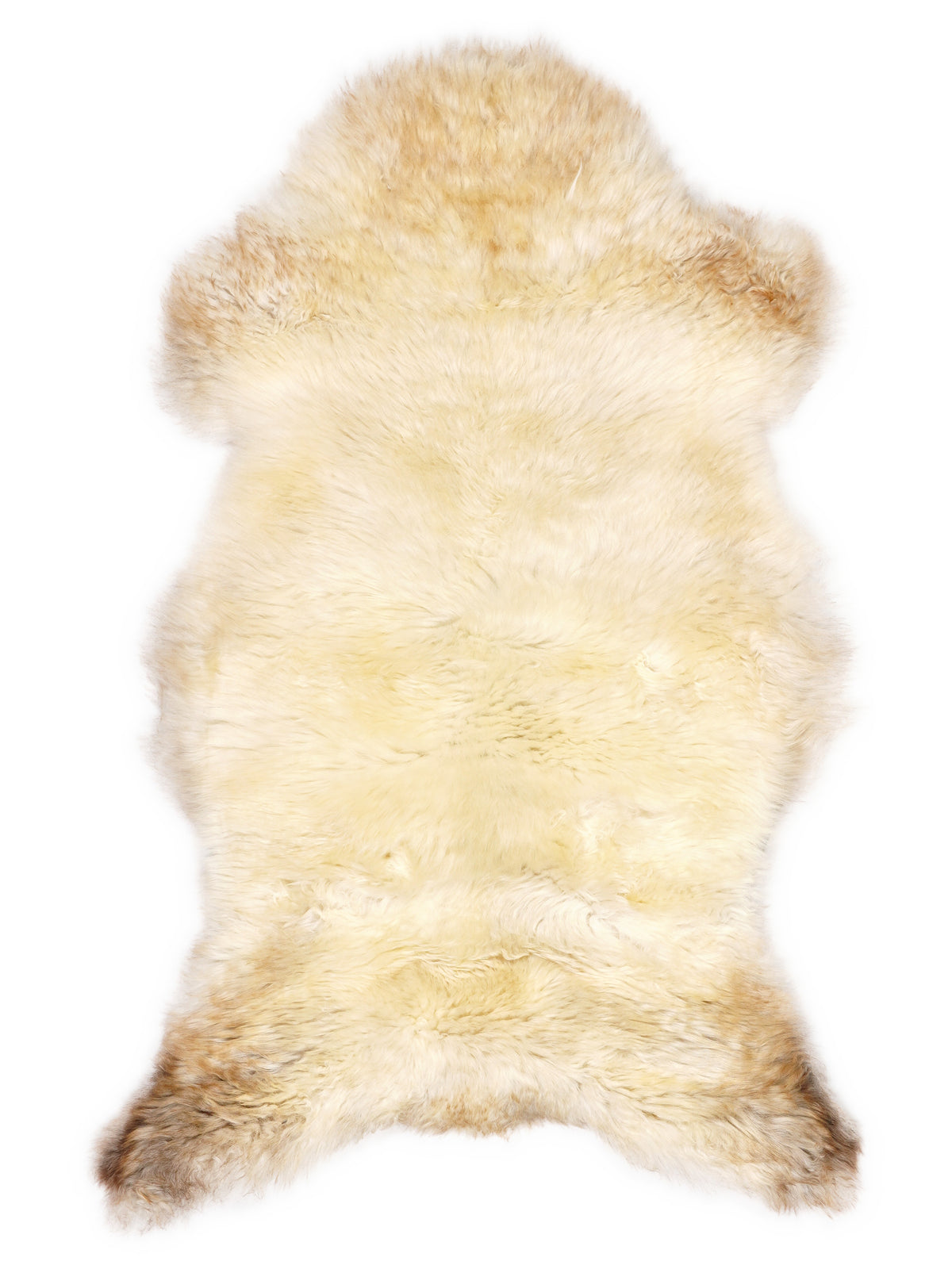 British multicolour sheepskin rug of about 110 × 60 cm, seen from above: the exact sheepskin you receive