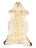 British multicolour sheepskin rug of about 120 × 50 cm, seen from above: the exact sheepskin you receive