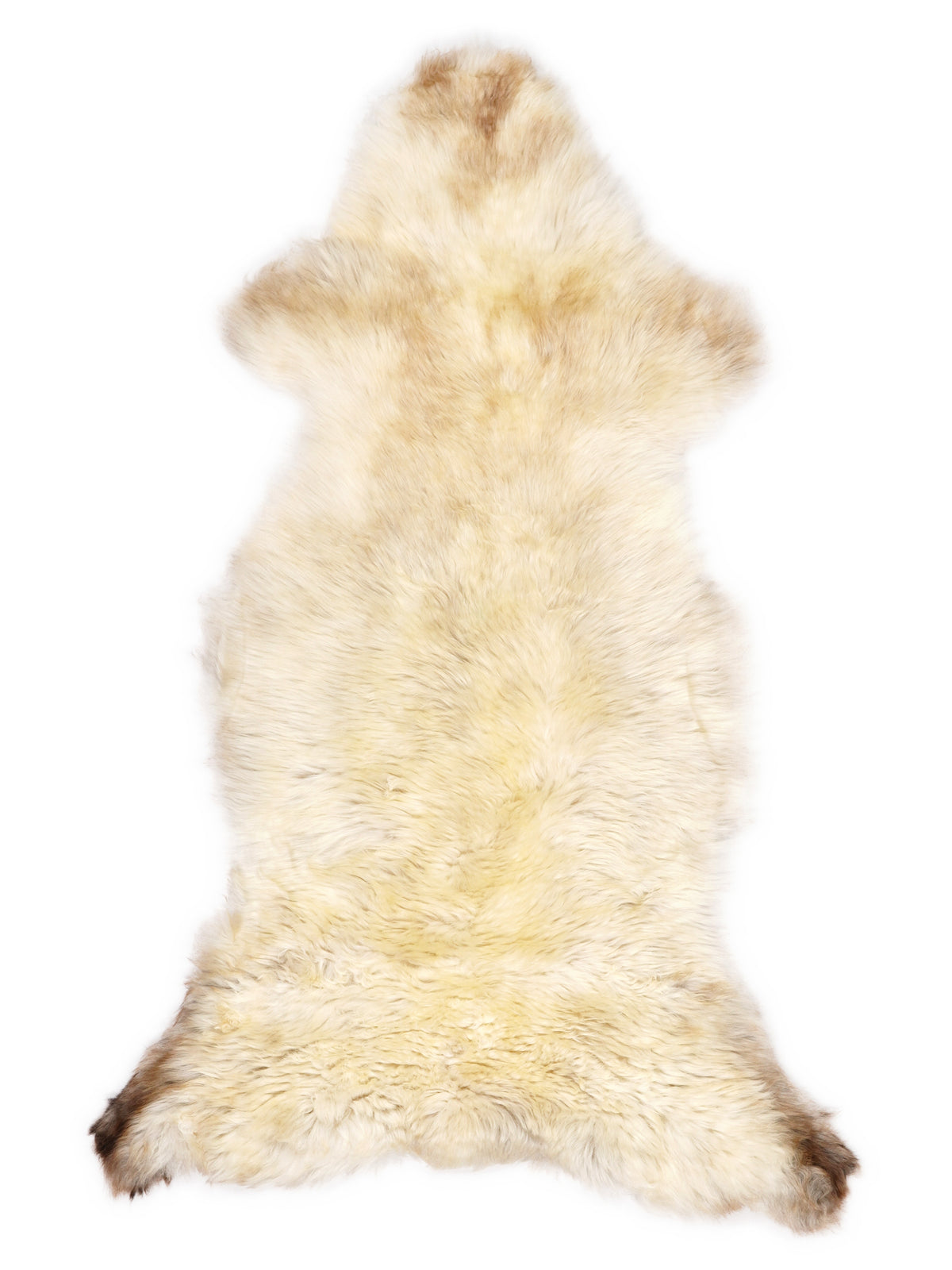 British multicolour sheepskin rug of about 120 × 50 cm, seen from above: the exact sheepskin you receive