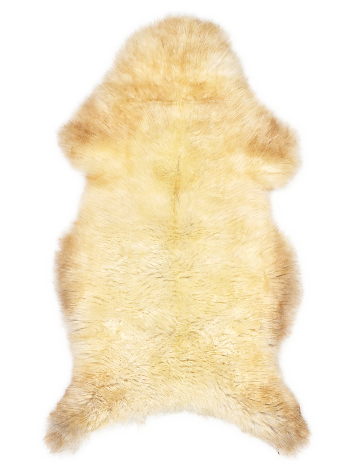 British multicolour sheepskin rug of about 115 × 60 cm, seen from above: the exact sheepskin you receive