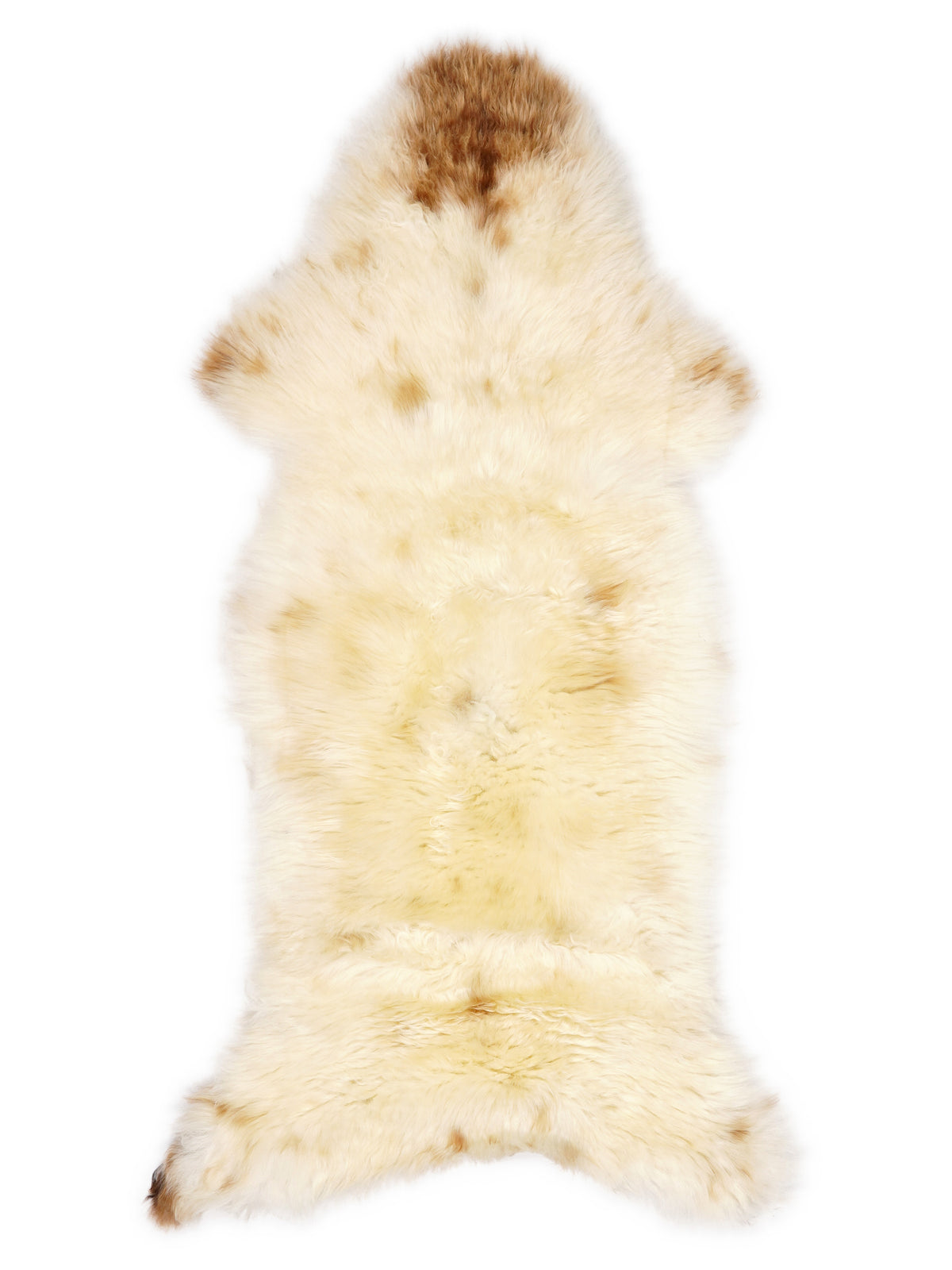 British multicolour sheepskin rug of about 120 × 50 cm, seen from above: the exact sheepskin you receive