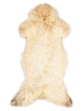 British multicolour sheepskin rug of about 125 × 55 cm, seen from above: the exact sheepskin you receive