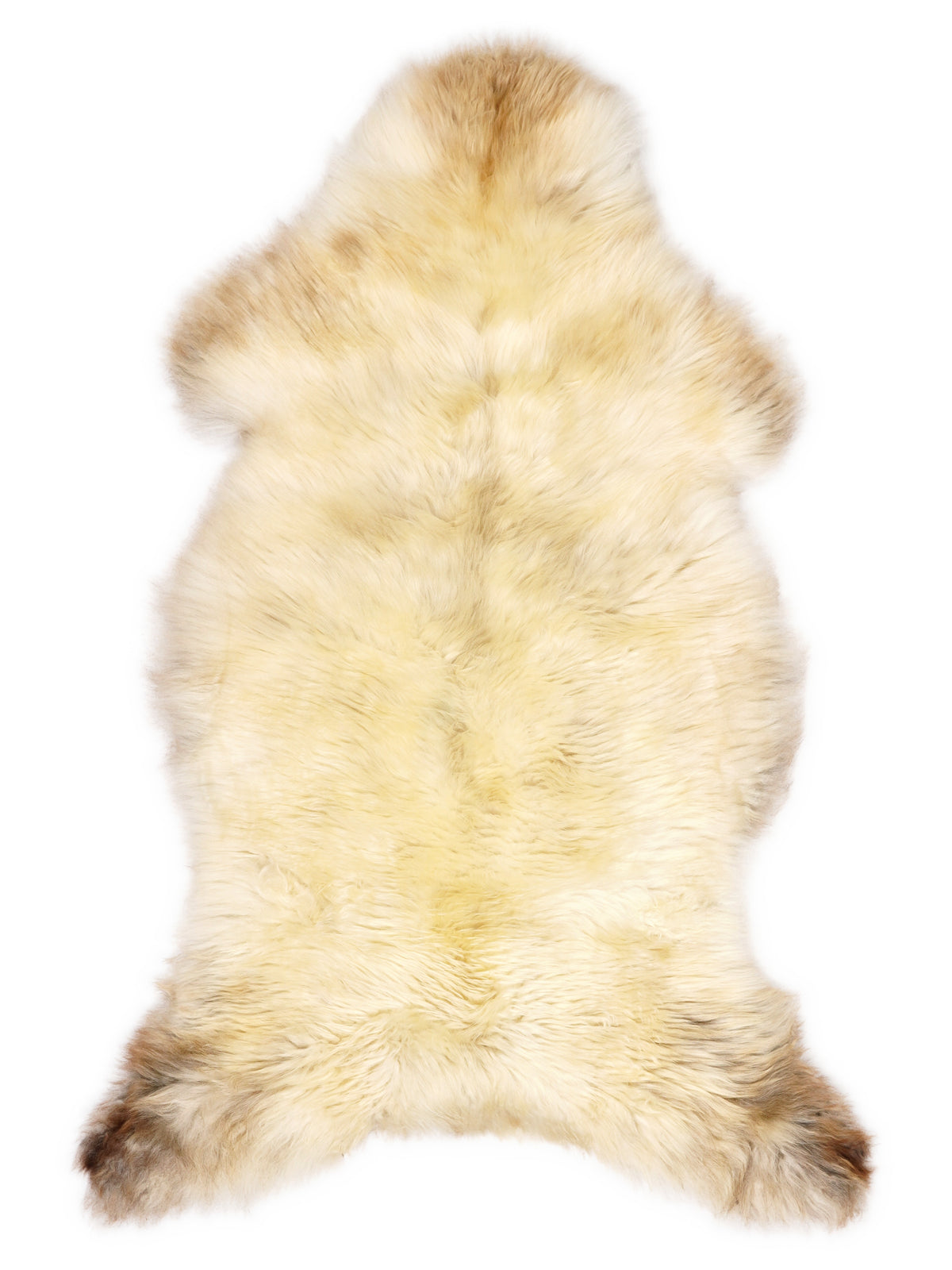 British multicolour sheepskin rug of about 120 × 60 cm, seen from above: the exact sheepskin you receive