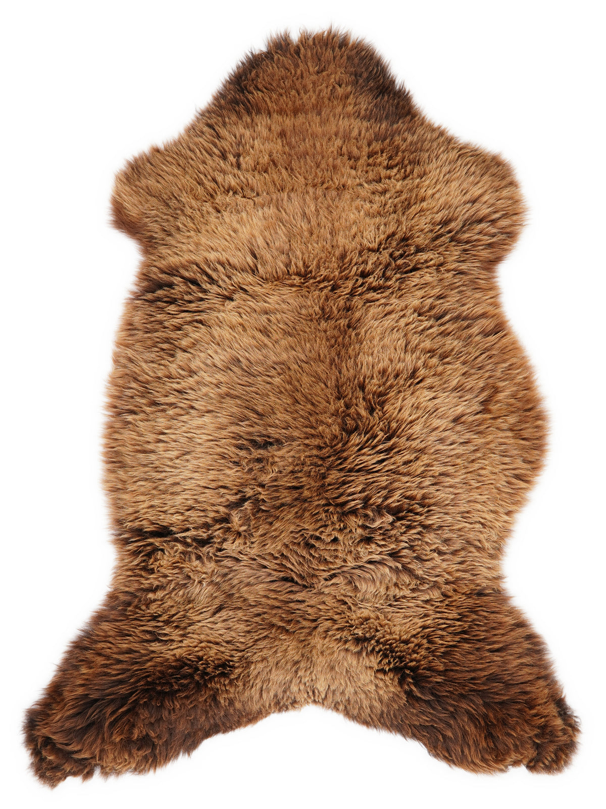 Brown sheepskin rug of about 120 × 65 cm, seen from above: the exact sheepskin you receive