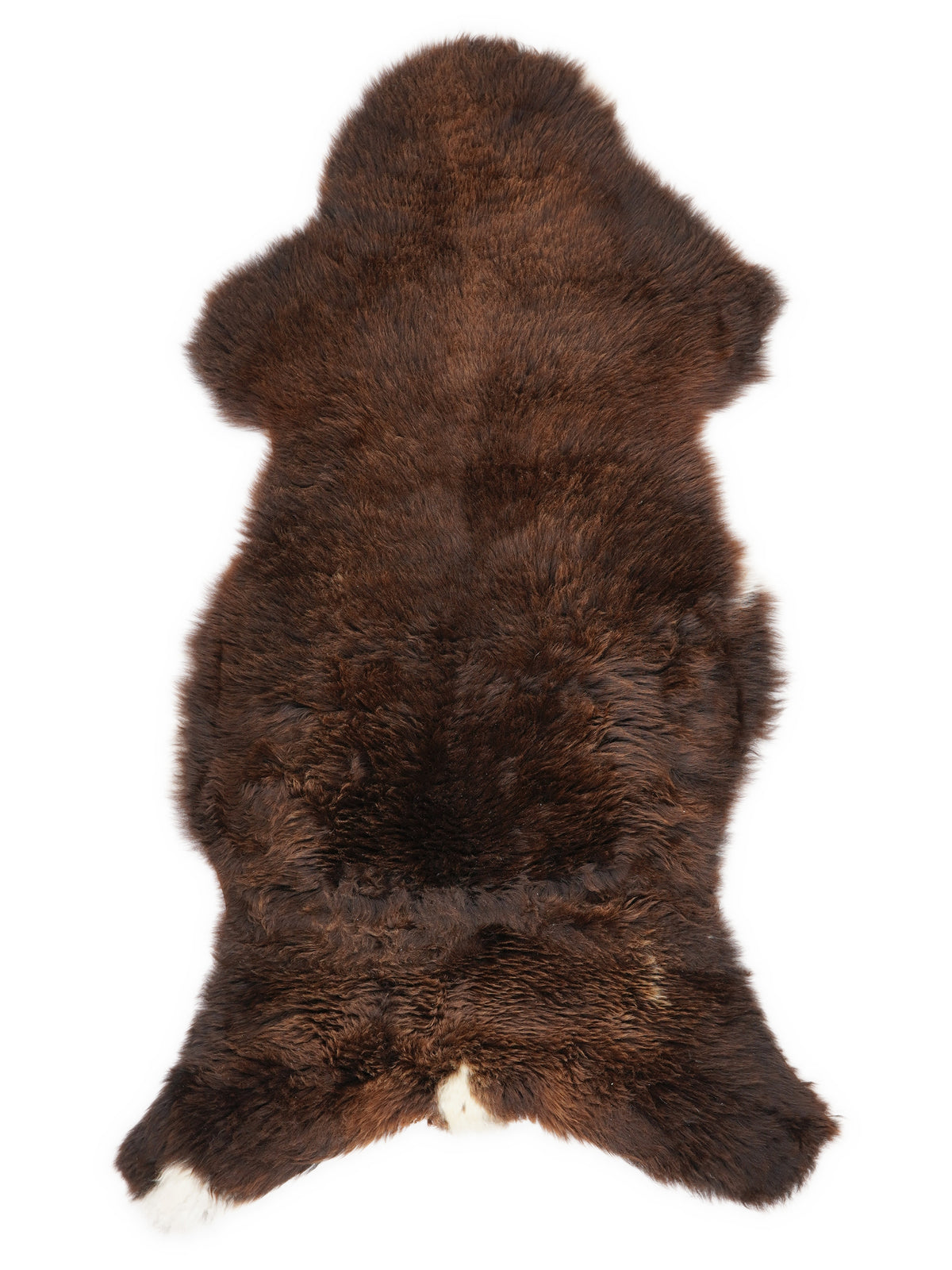 Brown sheepskin rug of about 110 × 55 cm, seen from above: the exact sheepskin you receive