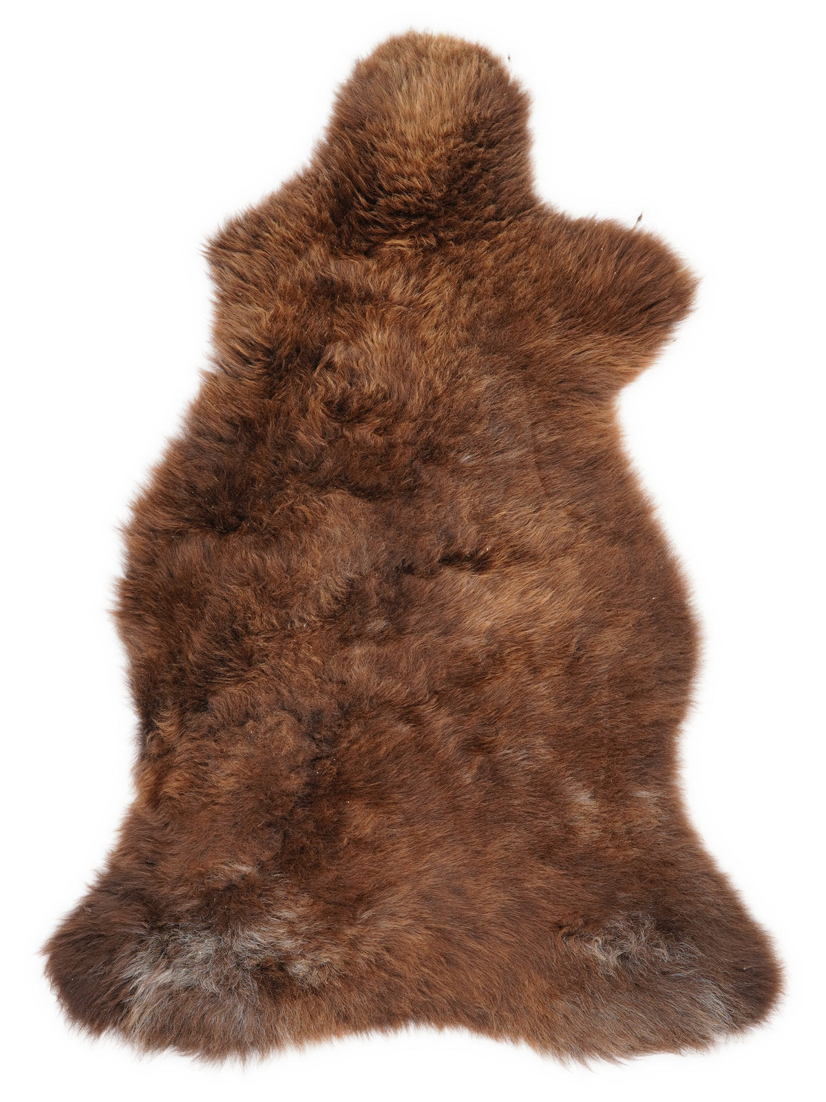 Brown sheepskin rug of about 100 × 55 cm, seen from above: the exact sheepskin you receive