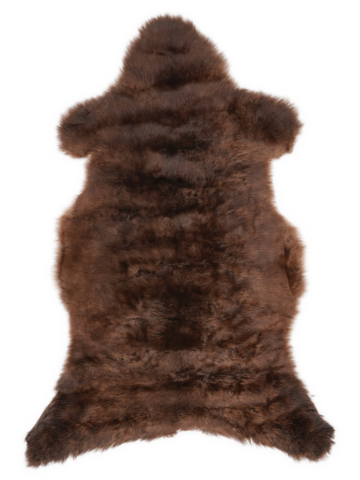 Brown sheepskin rug of about 105 × 55 cm, seen from above: the exact sheepskin you receive