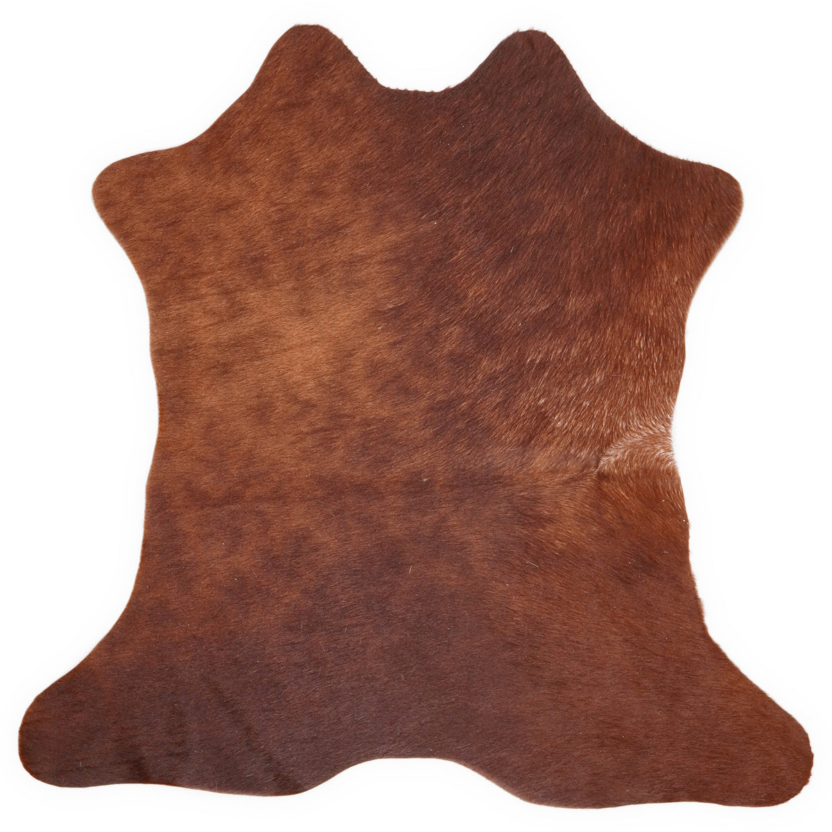 Mini cowhide of about 70 × 70 cm, seen from above: the exact hide you receive