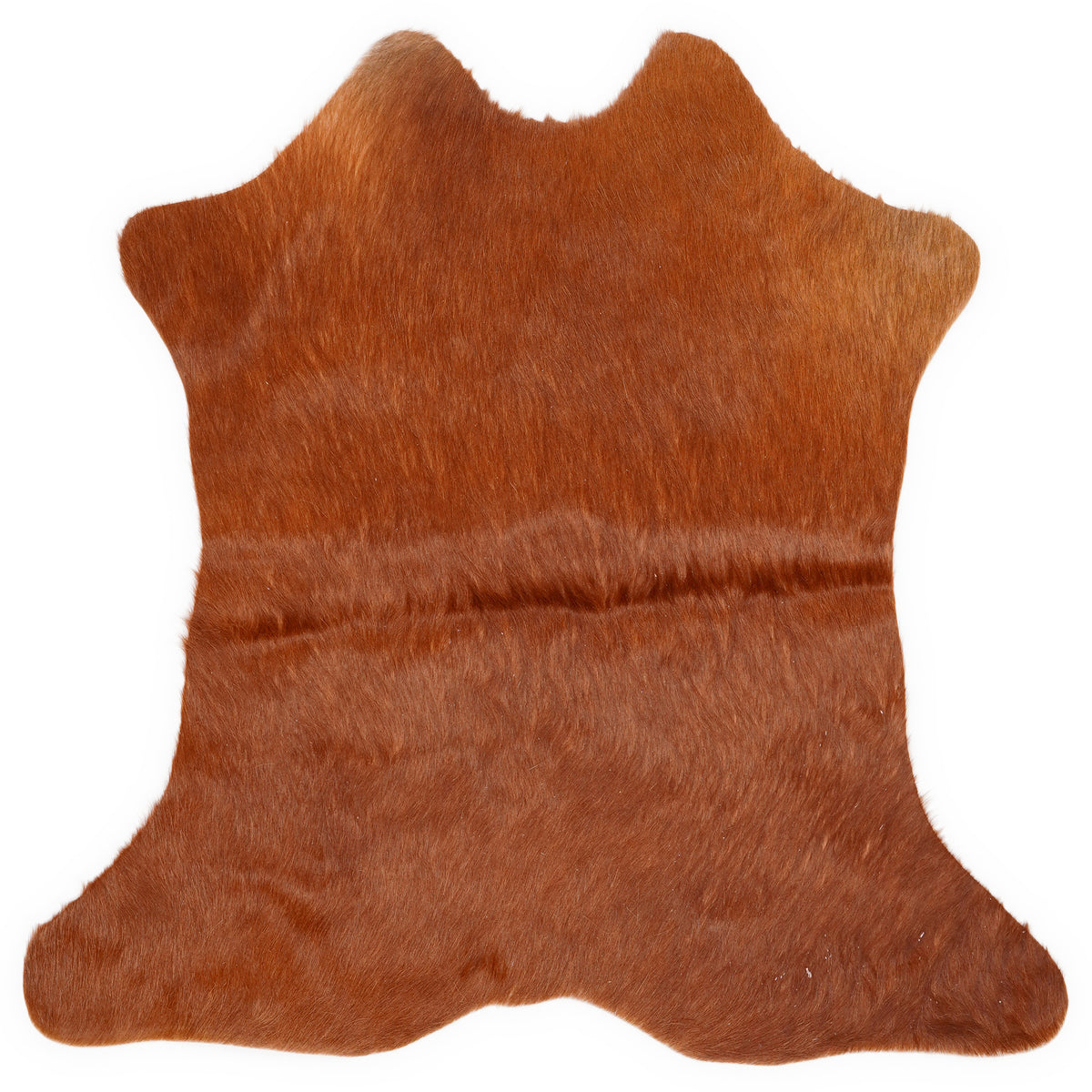 Mini cowhide of about 70 × 70 cm, seen from above: the exact hide you receive