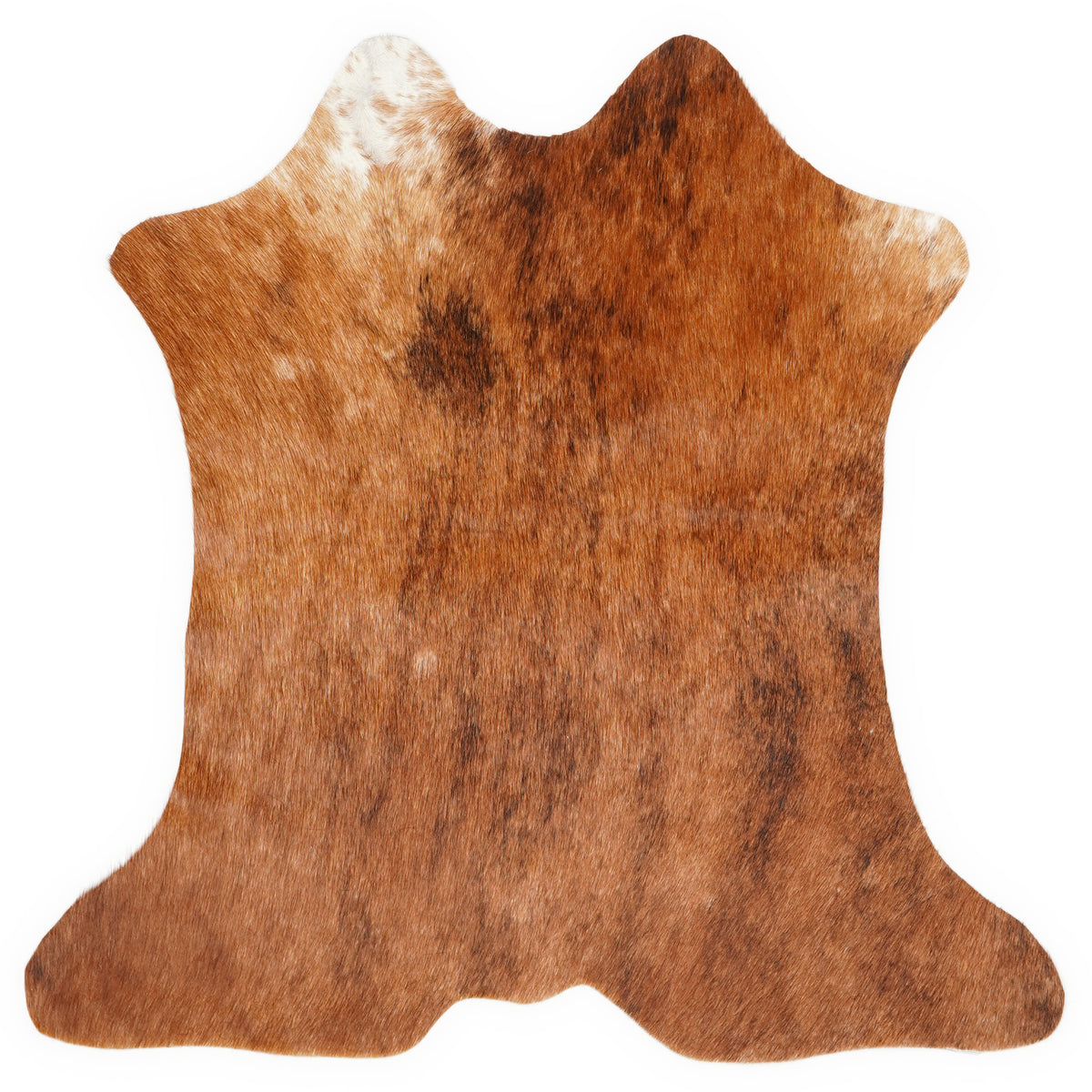 Mini cowhide of about 70 × 70 cm, seen from above: the exact hide you receive