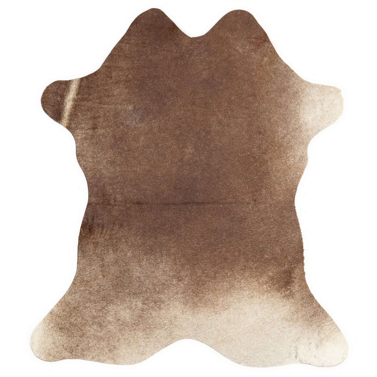 Mini cowhide of about 70 × 70 cm, seen from above: the exact hide you receive