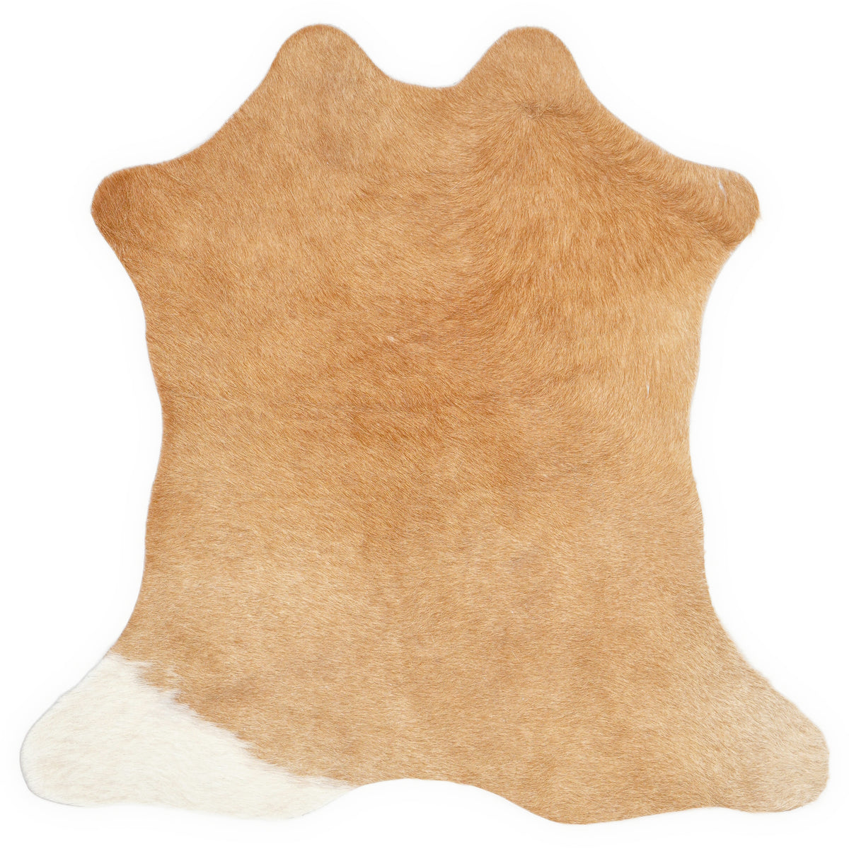 Mini cowhide of about 70 × 70 cm, seen from above: the exact hide you receive
