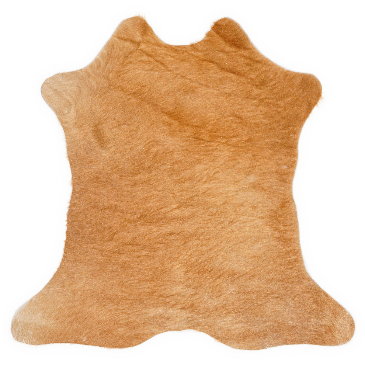 Mini cowhide of about 70 × 70 cm, seen from above: the exact hide you receive