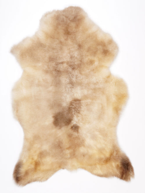 NG00025
