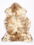 NL00081