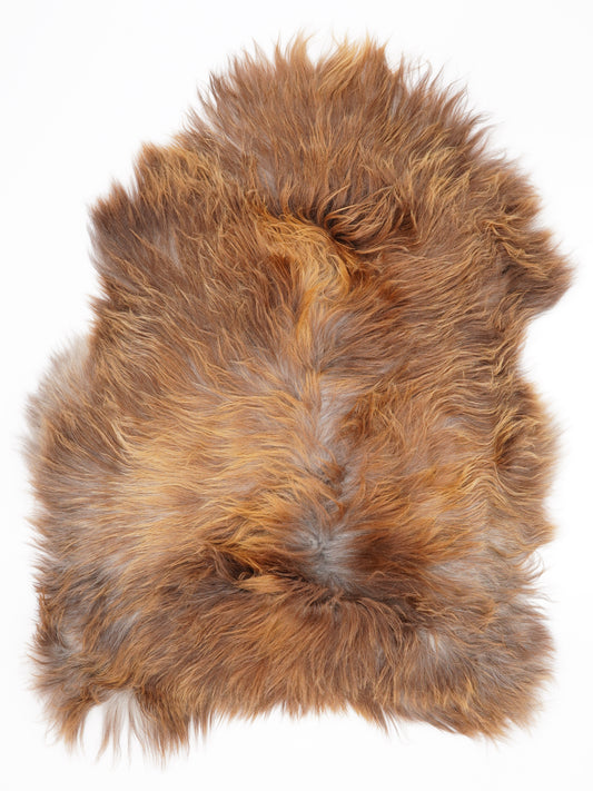 ON00100