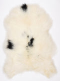 NZ00039