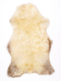 NW00081