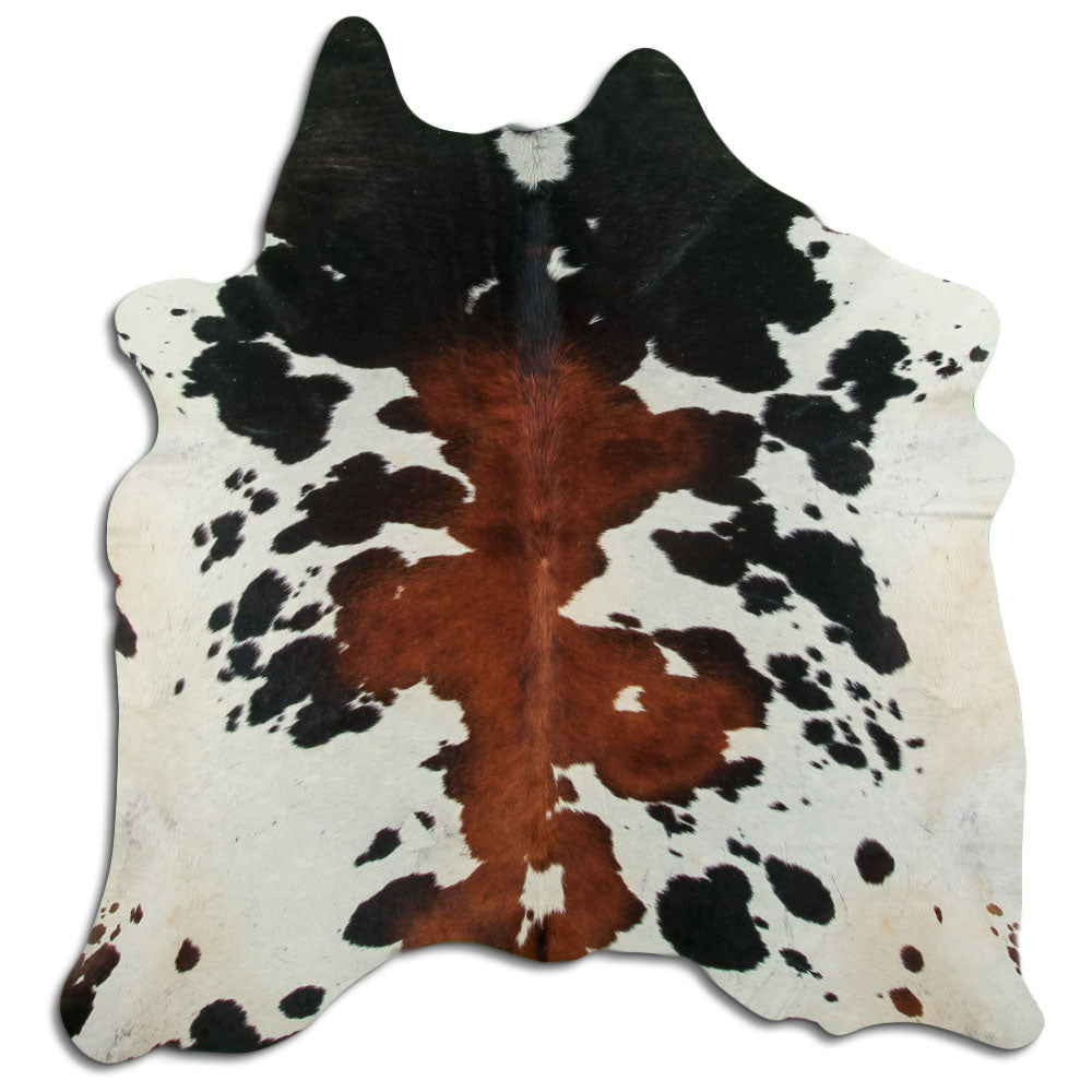 Tricolor Cowhide Rug L