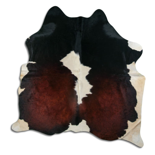 Tricolor Cowhide Rug L