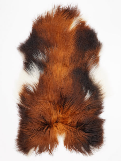 OX00048
