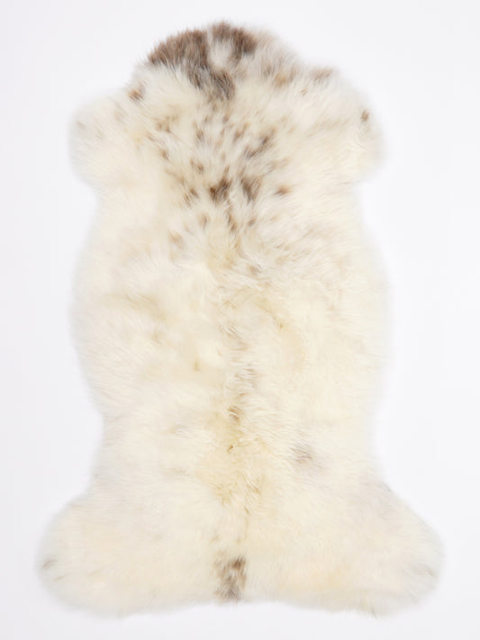 MR00040