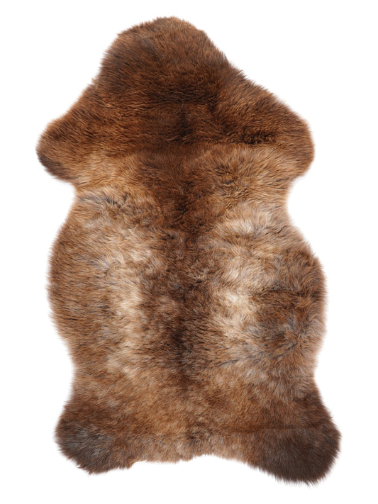 NF00091