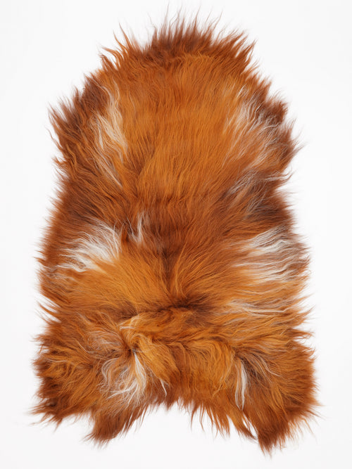 OX00037