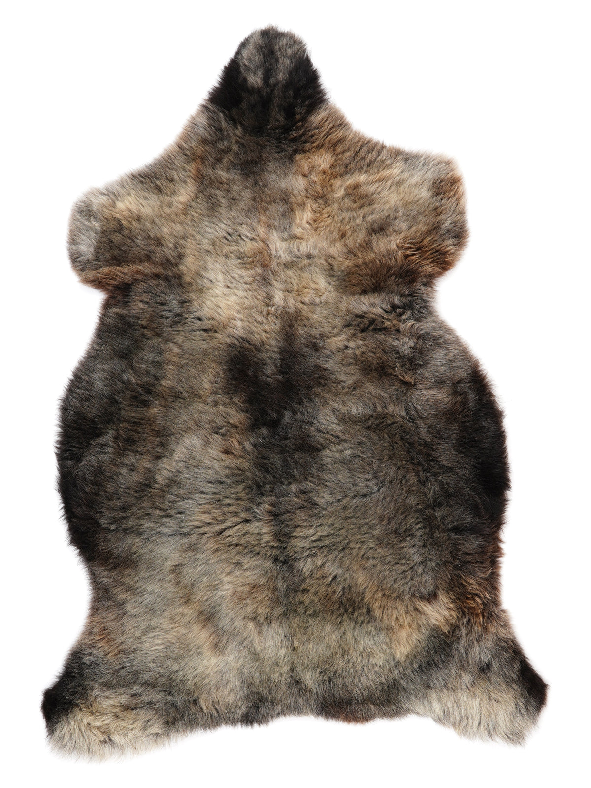 NC00036
