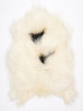MW00019