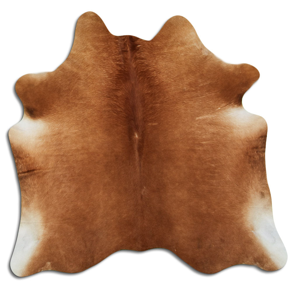 Brown Cowhide Rug M