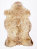 NW00092