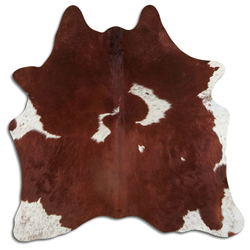 Brown & White Cowhide Rug M