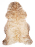 MC00086
