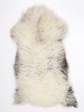 MN00028