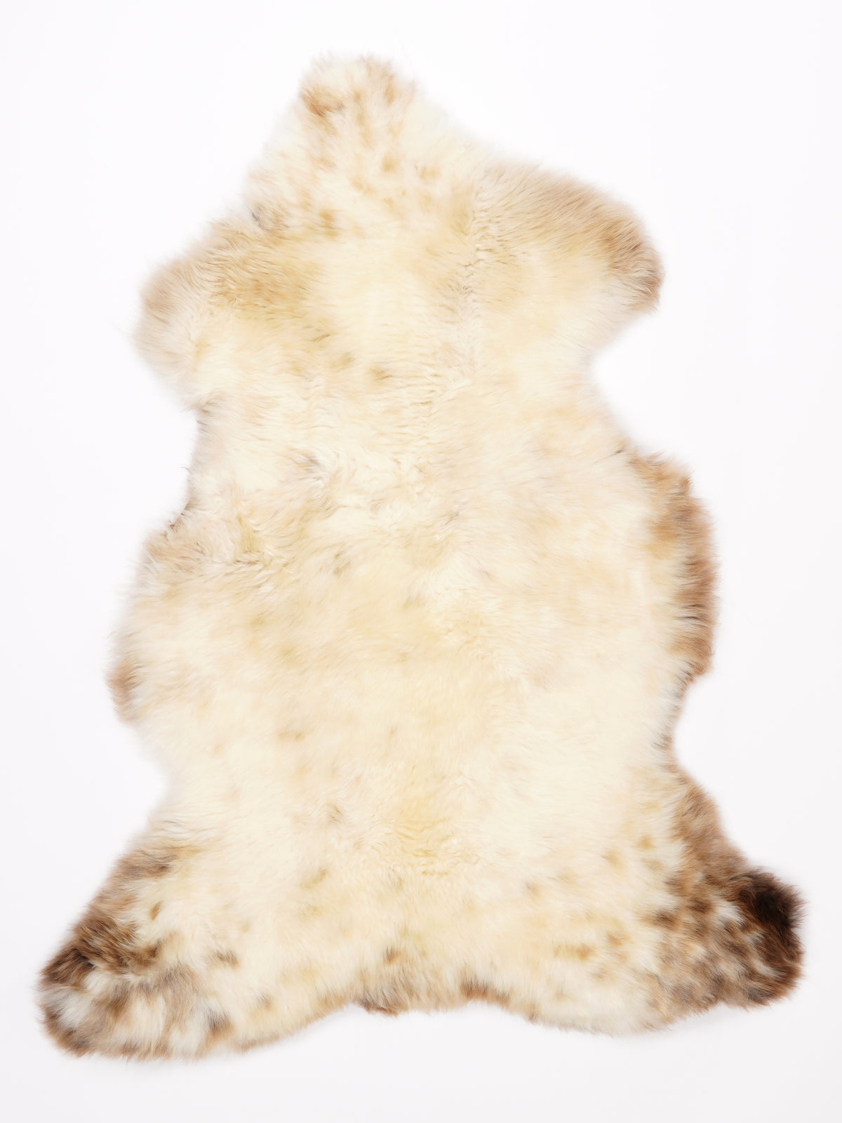 ML00088