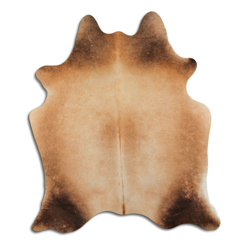 Brown Cowhide Rug M